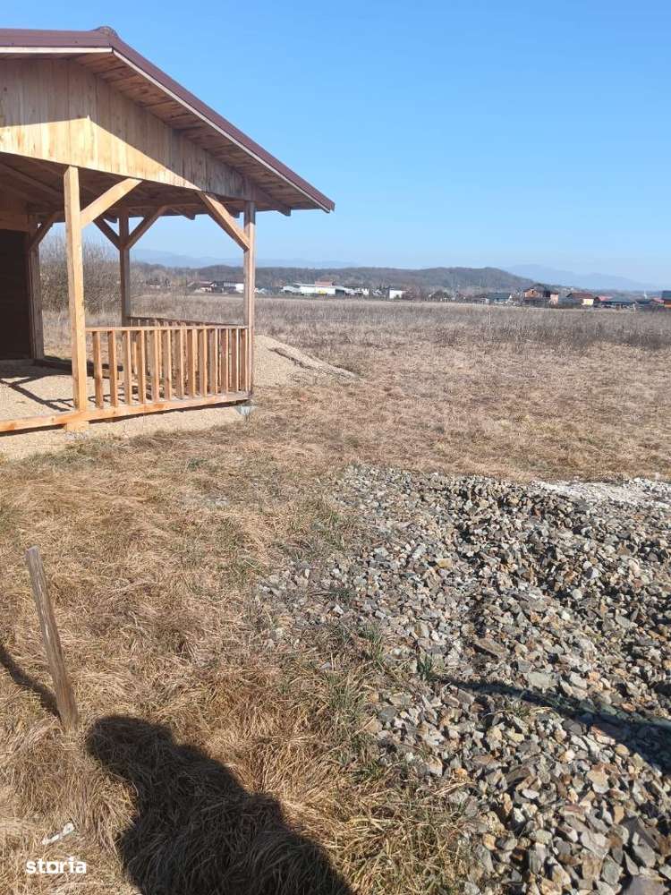 Catalina ,8 ari teren intrav. ,cu căsuță - Imagine principală: 2/6