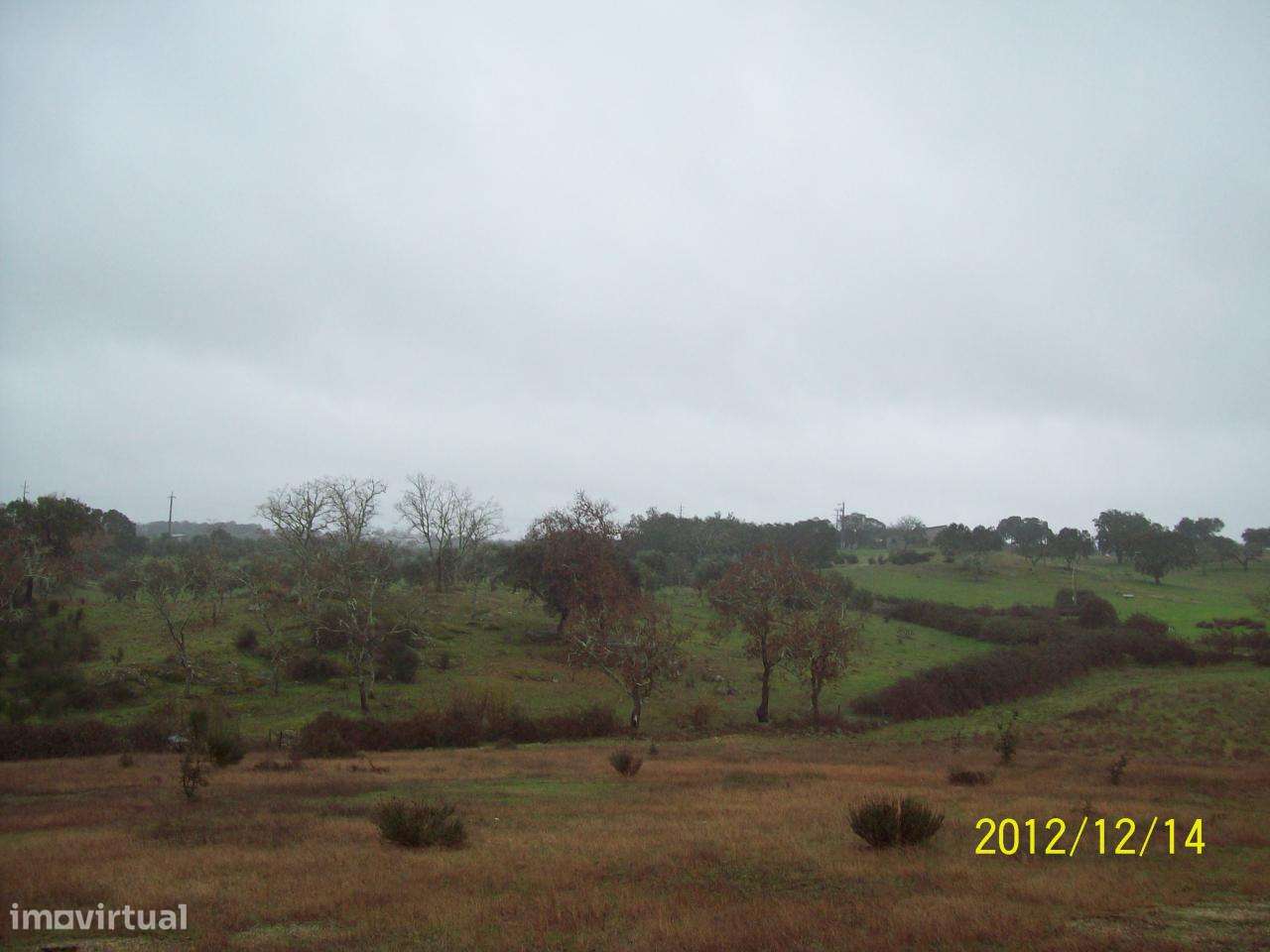 Herdade do Monte da Pedra.-21