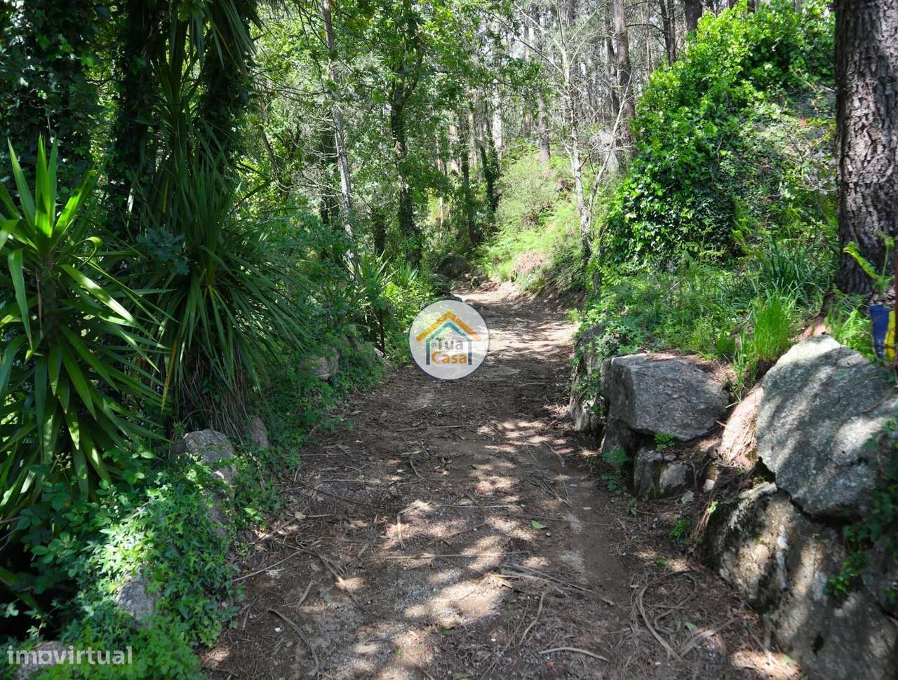 Terreno com área de construção em Arnoso Santa Maria !... - Grande imagem: 5/17