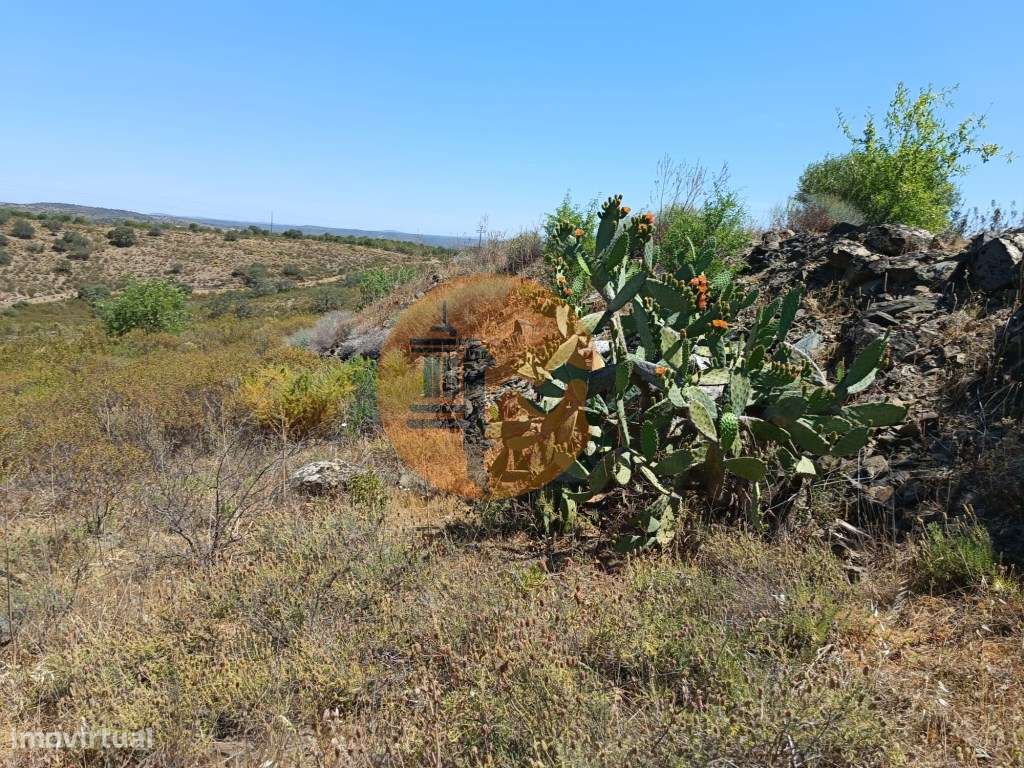 TERRENO COM 19.280 M2 - ALCARIA - ODELEITE - CASTRO MARIM - ALGARVE - Grande imagem: 3/27