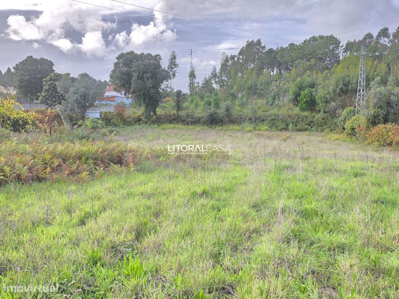 Terreno Agrícola - Eixo-10