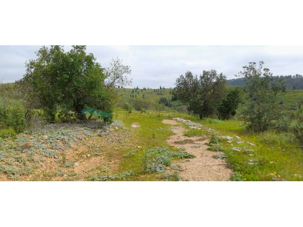 Terreno rústico - Odemira - Grande imagem: 3/8