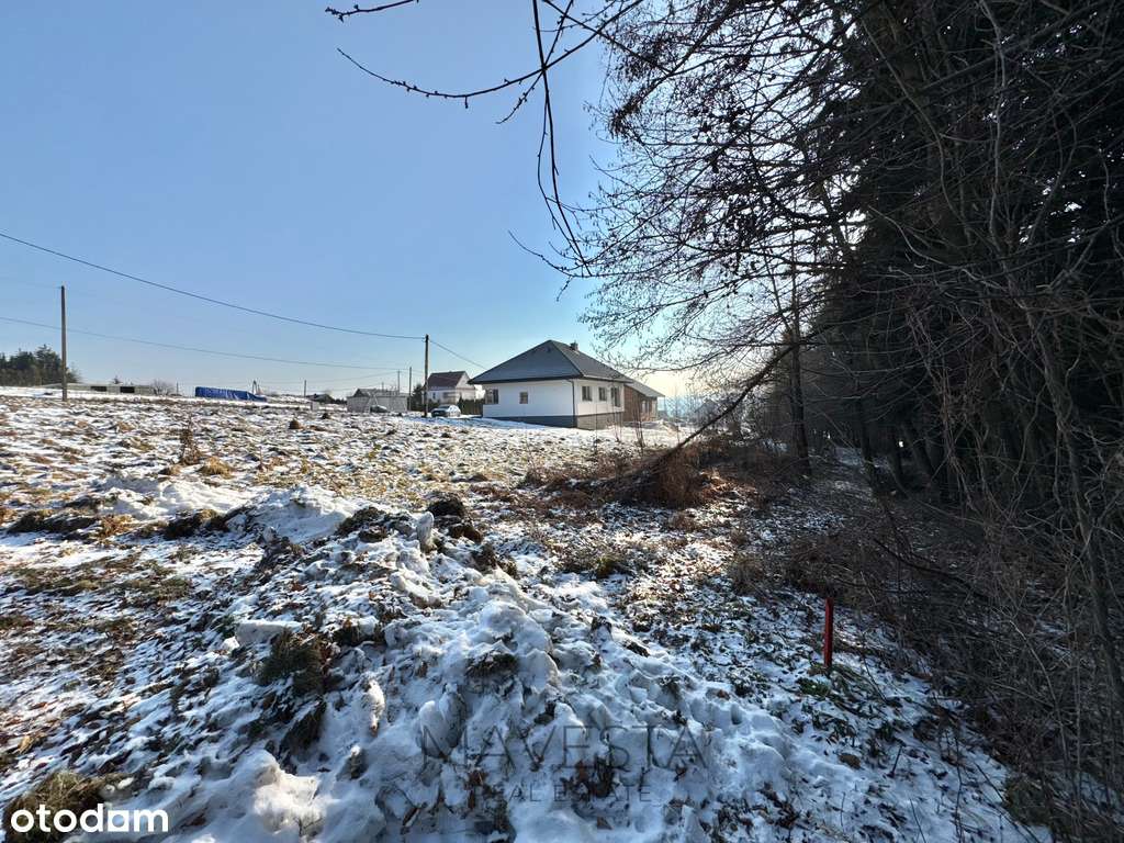 Działka budowlana w sąsiedztwie zagajnika-6