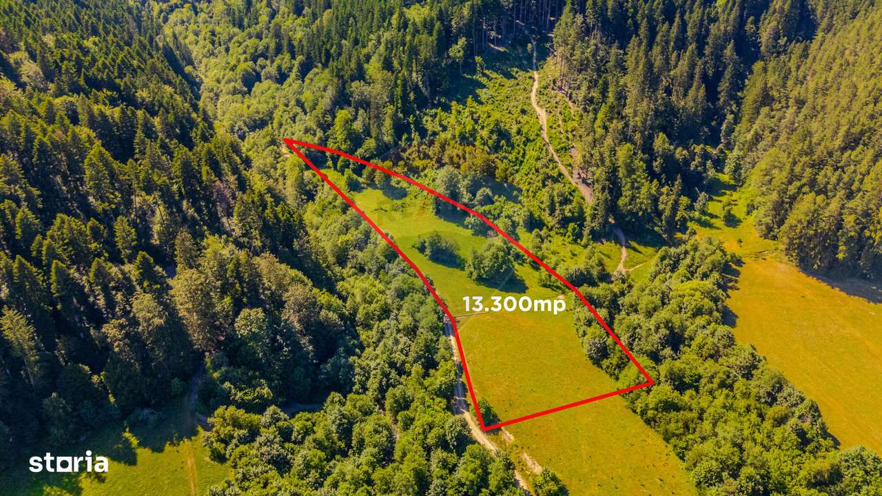COMISION 0% Teren Brădet 7300 + 6000 mp/ Sacele /Intravilan - Imagine principală: 2/9
