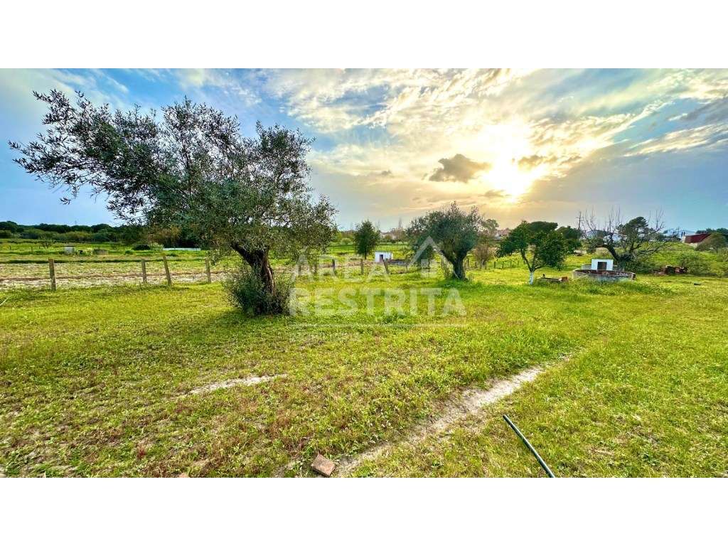 Moradia isolada T4 (Quinta com 5100 m2) - Fajarda (Coruche-Santarém) - Grande imagem: 3/48