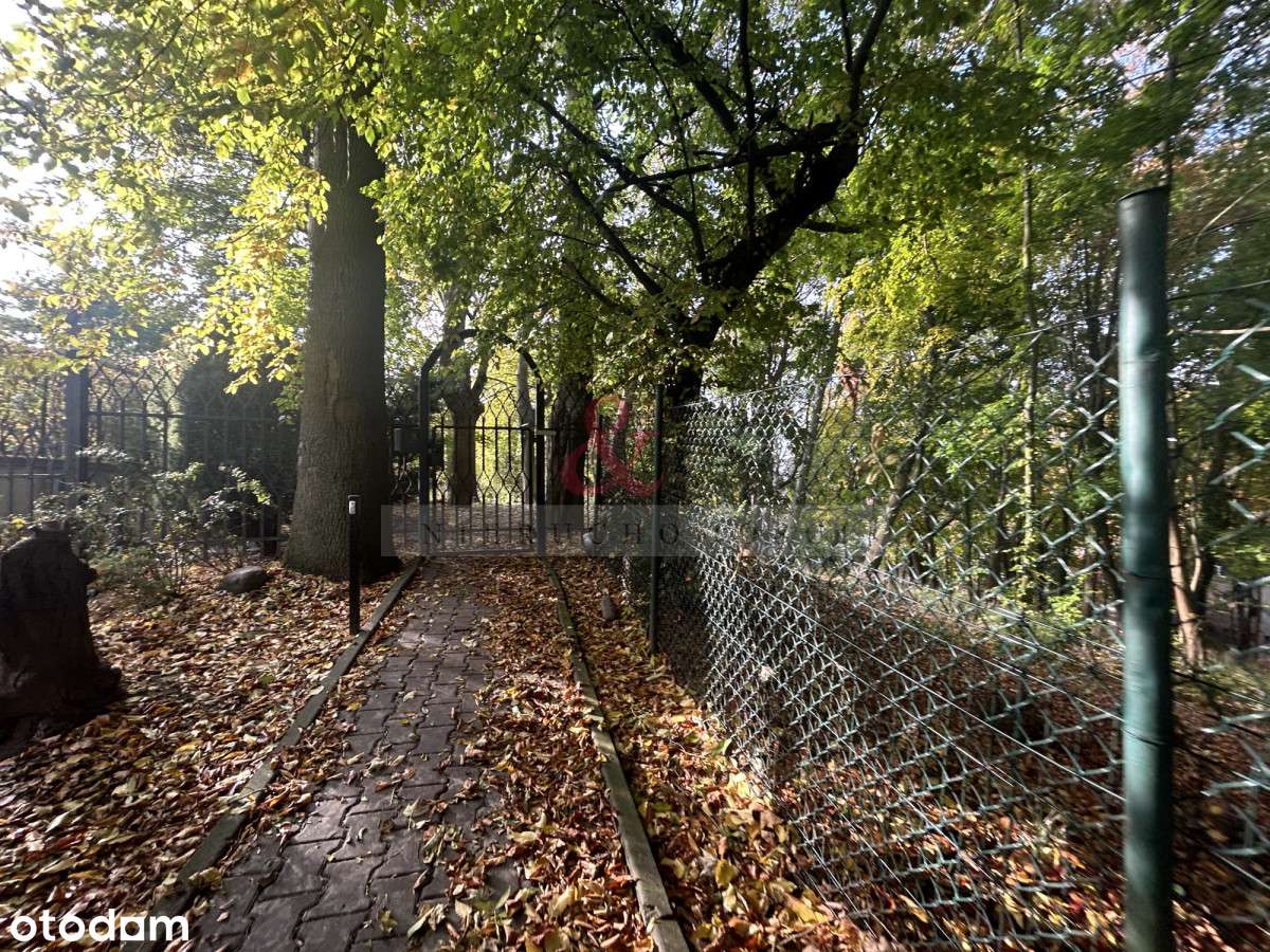 Dom w wyjątkowyej lokalizacji Gdańsk - Pełny obrazek: 4/20