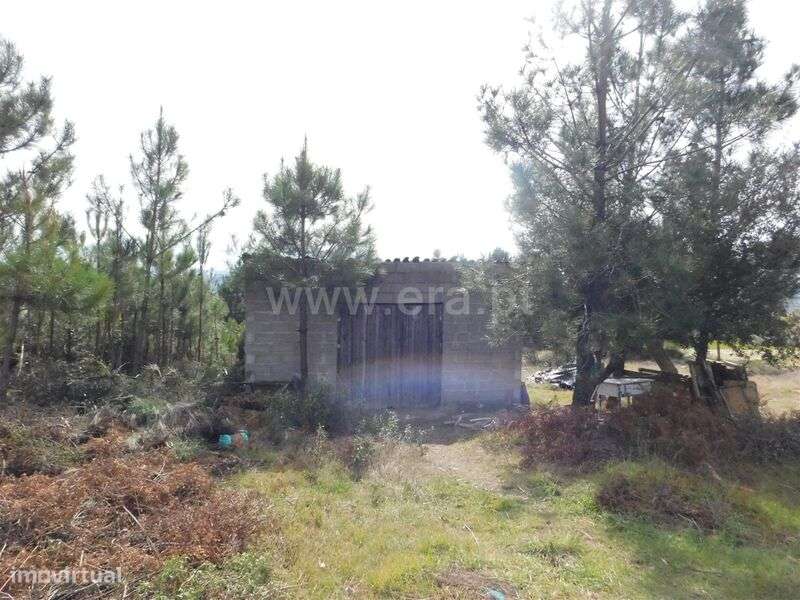 Quinta / Fundão, Póvoa da Palhaça - Grande imagem: 2/15