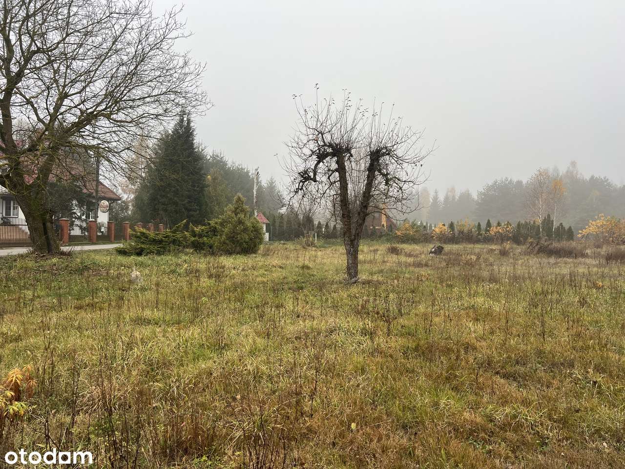 Atrakcyjna działka | Przykory | OKAZJA-1