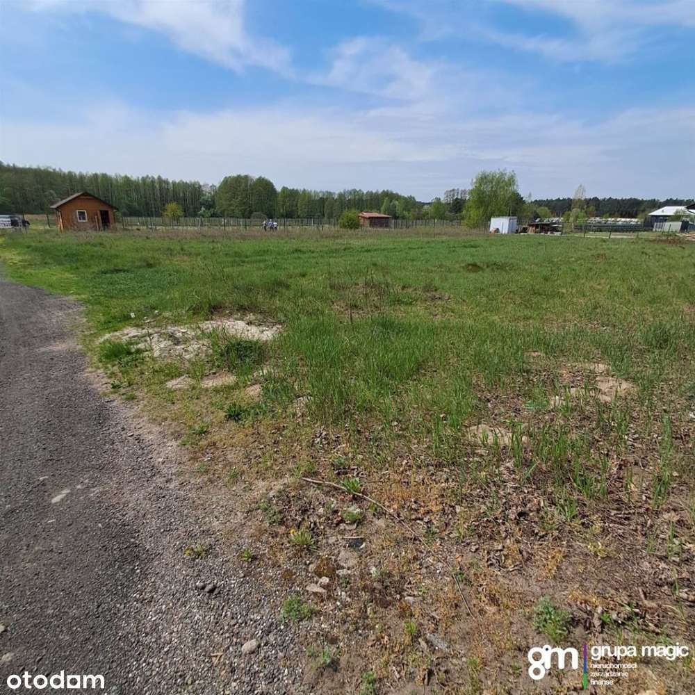 Tylko u nas - Pełny obrazek: 3/8