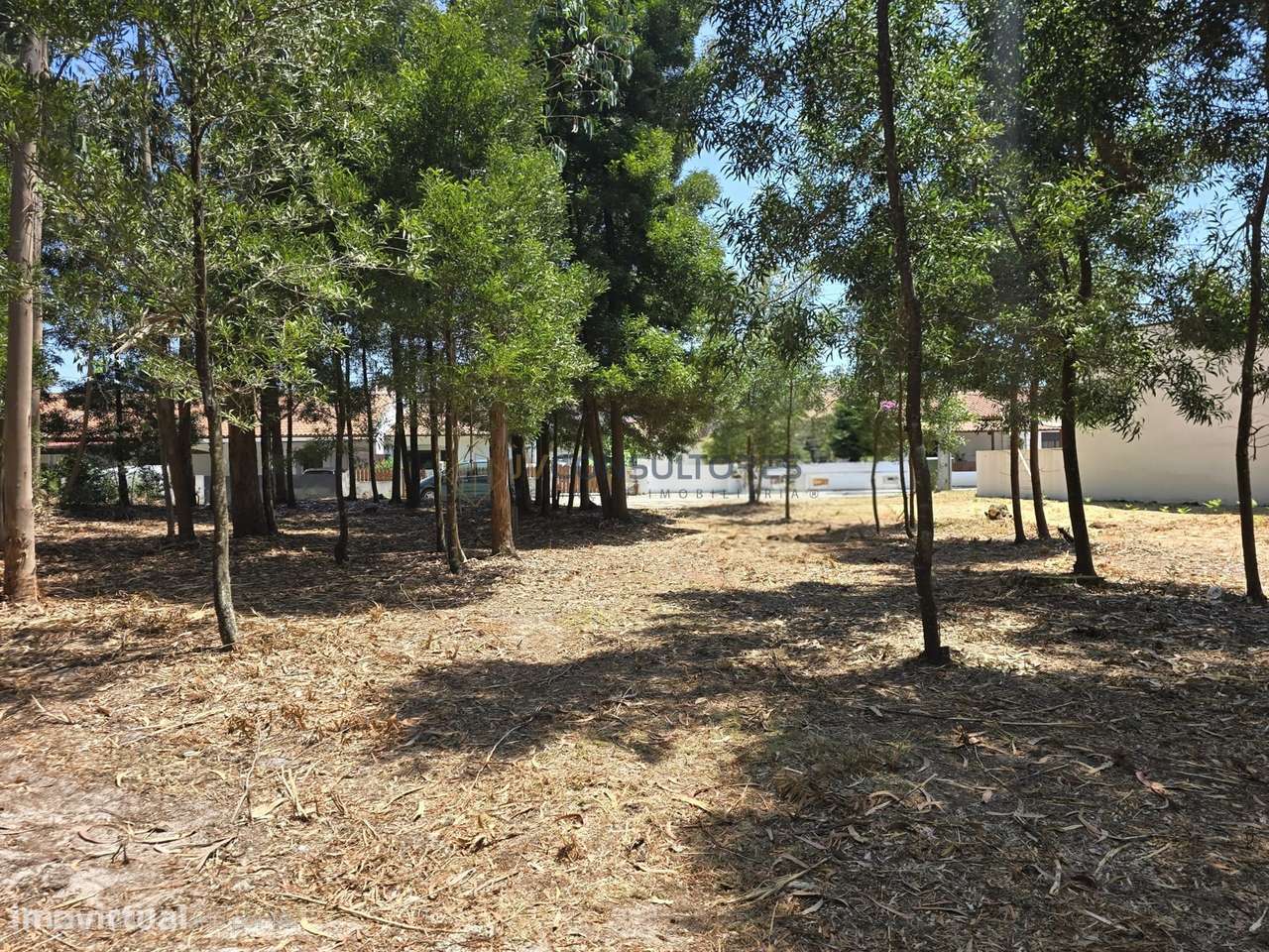Terreno Para Construção  Venda em Beduído e Veiros,Estarreja-3