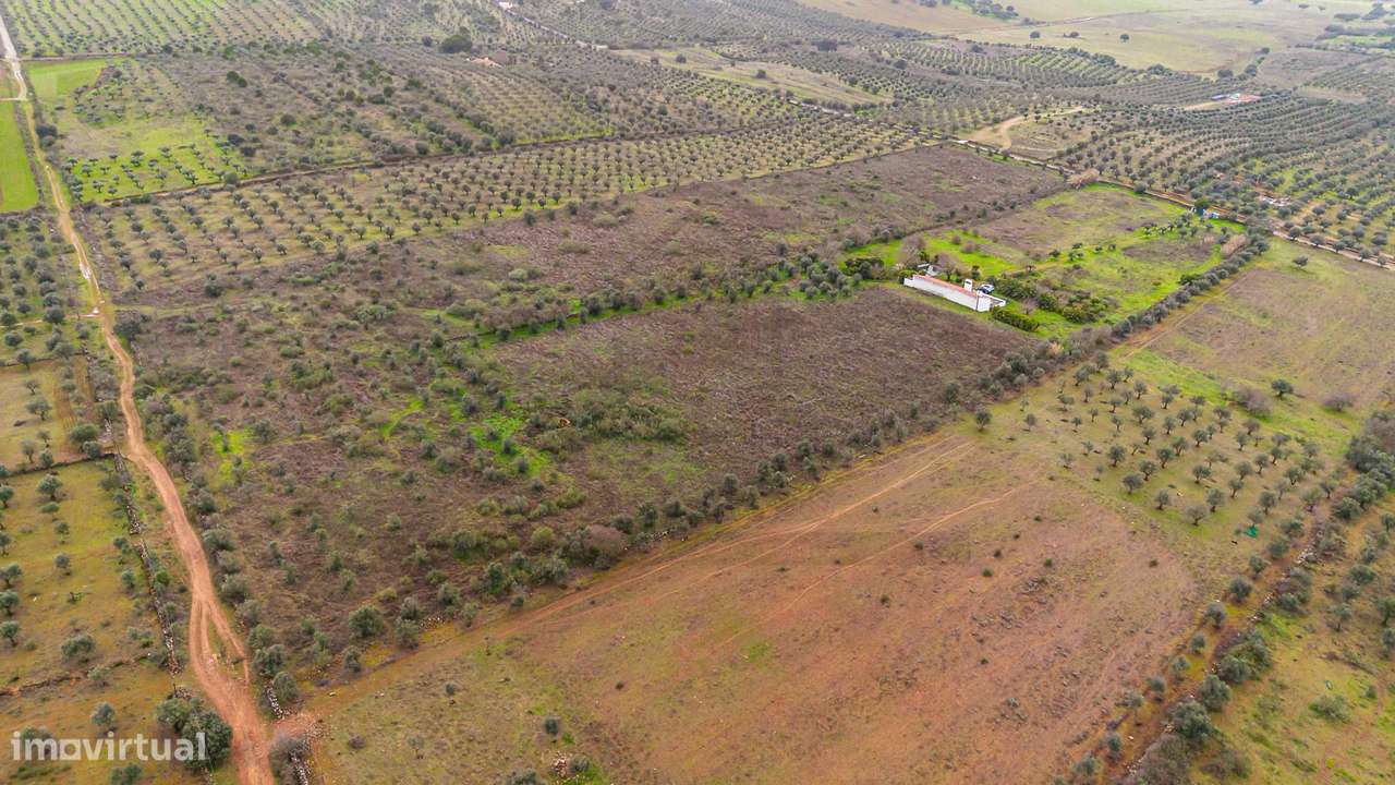 Herdade T3 em Vila Boim-12