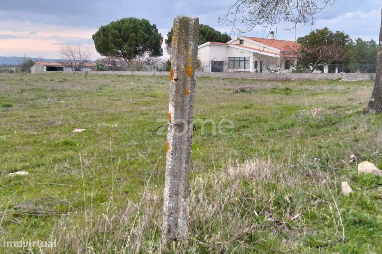 Terreno Rústico em Cortiçô da Serra - Grande imagem: 3/12