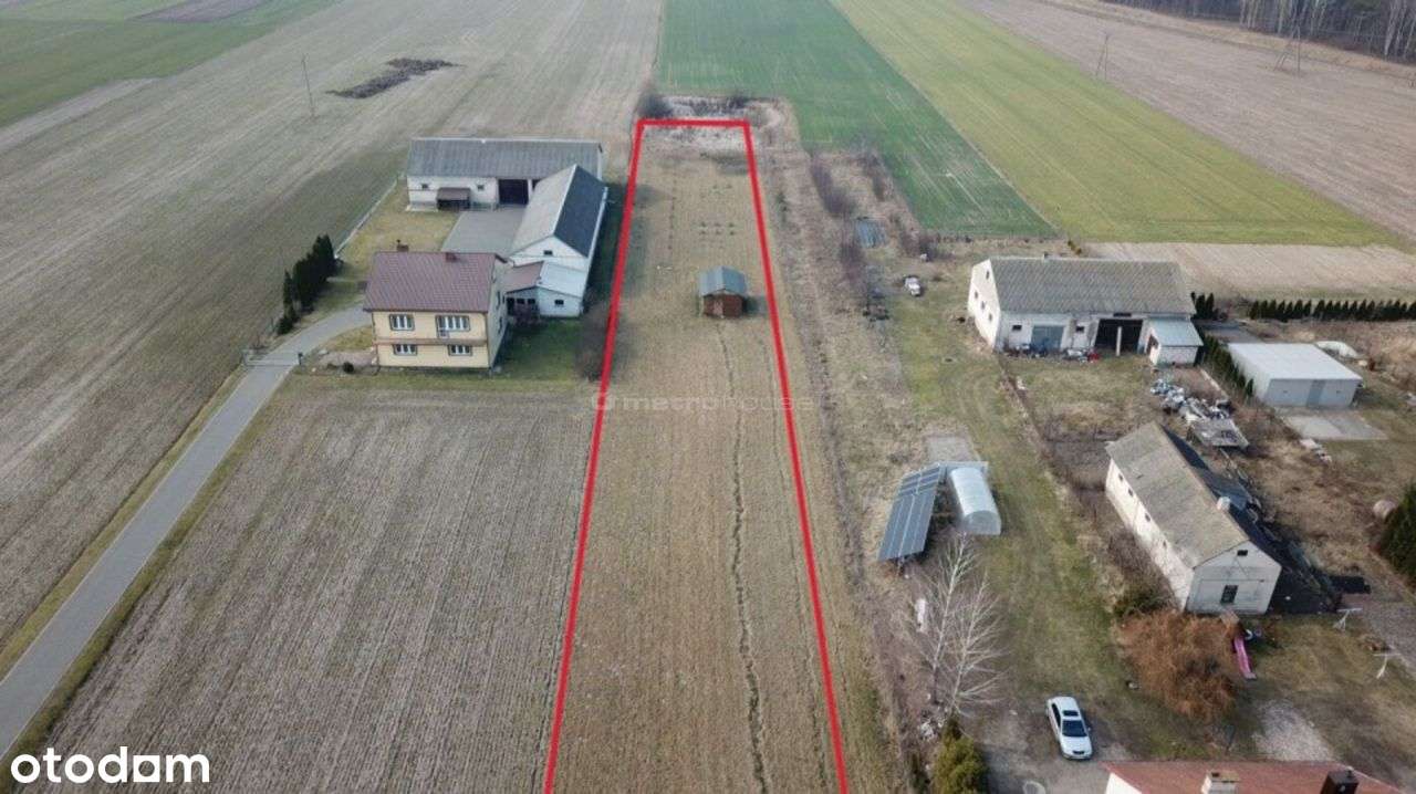 Działka, 3 003 m², Suchożebry - Pełny obrazek: 5/6