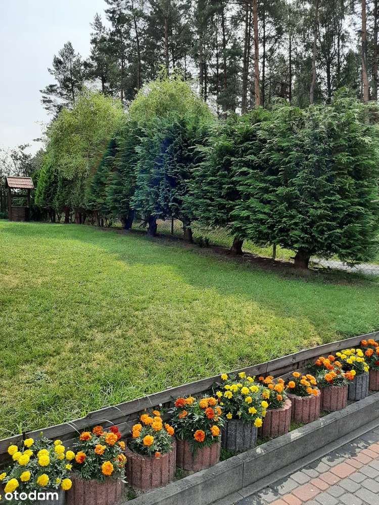 Malowniczy Dom w Sercu Natury – Osada Leśna Wiatrołom, Gmina Miastko - Pełny obrazek: 4/20