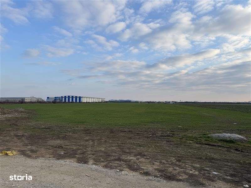 Teren vanzare 3 ha Clinceni - ideal pentru dezvoltare! Comision 0%!-0