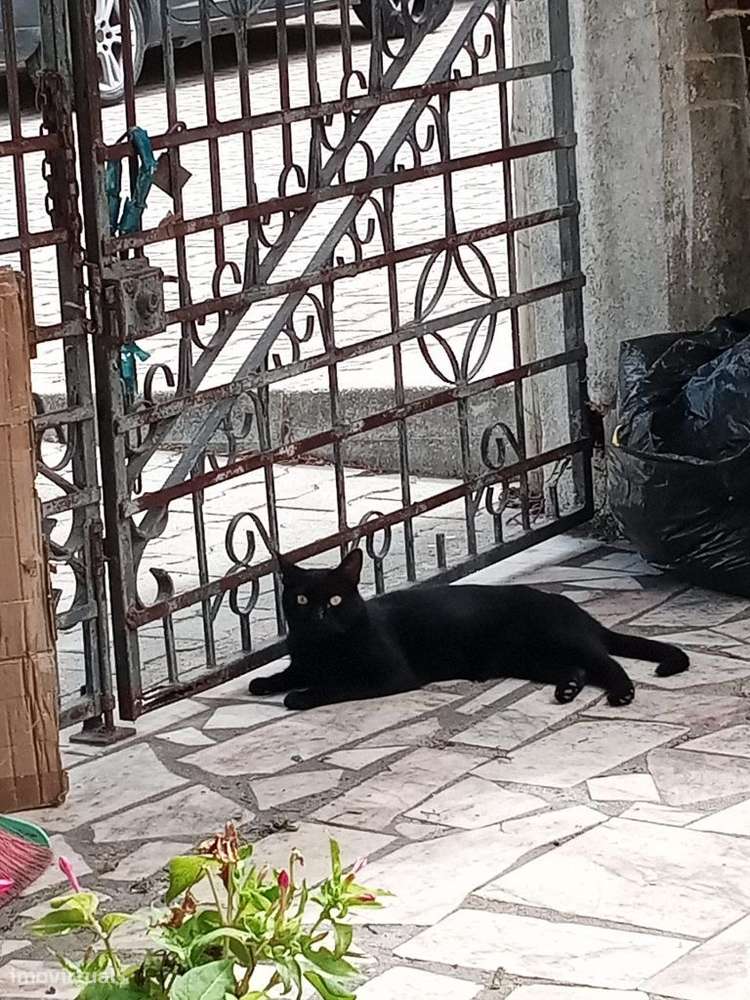 Moradia geminada com 5 quartos em Pinhal de Frades - Seixal-25