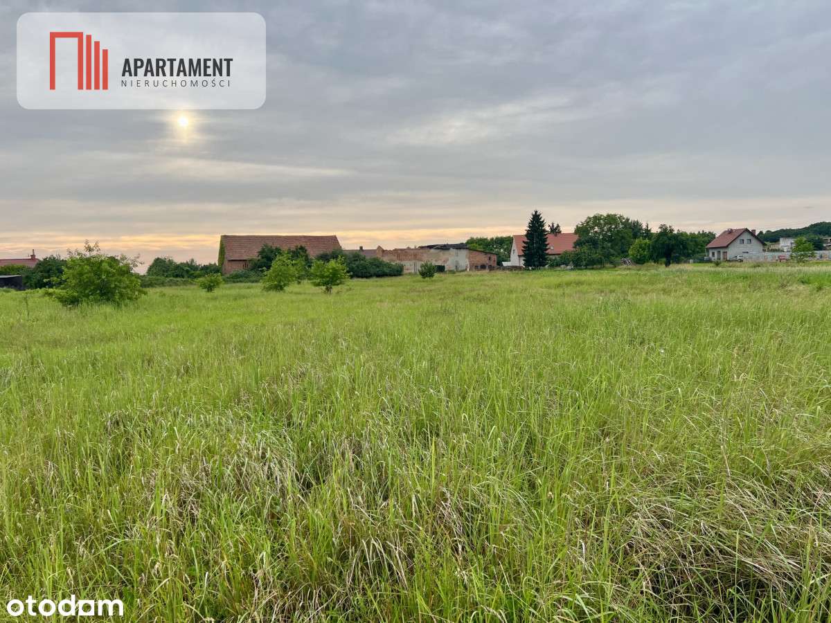 Bez Pcc! Działki Budowlane Lubiąż! Fv! Mpzp! - Pełny obrazek: 4/7