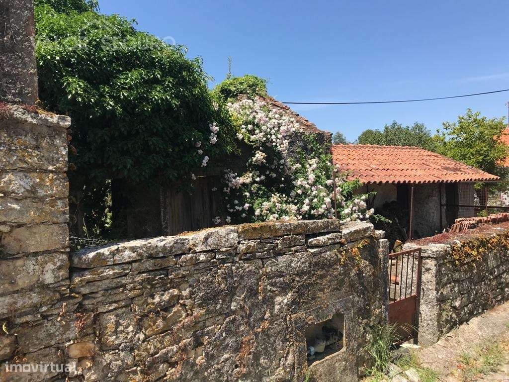 Casa rural para recuperação em Ansião - Grande imagem: 5/31