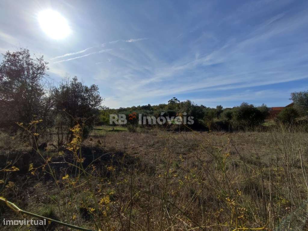 Terreno rústico com 960m² - Vales, Tomar - Grande imagem: 5/18