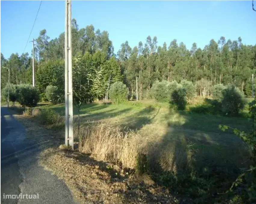 Terreno urbano com projeto Wood frame em aprovação em Macinhata do Vou-11