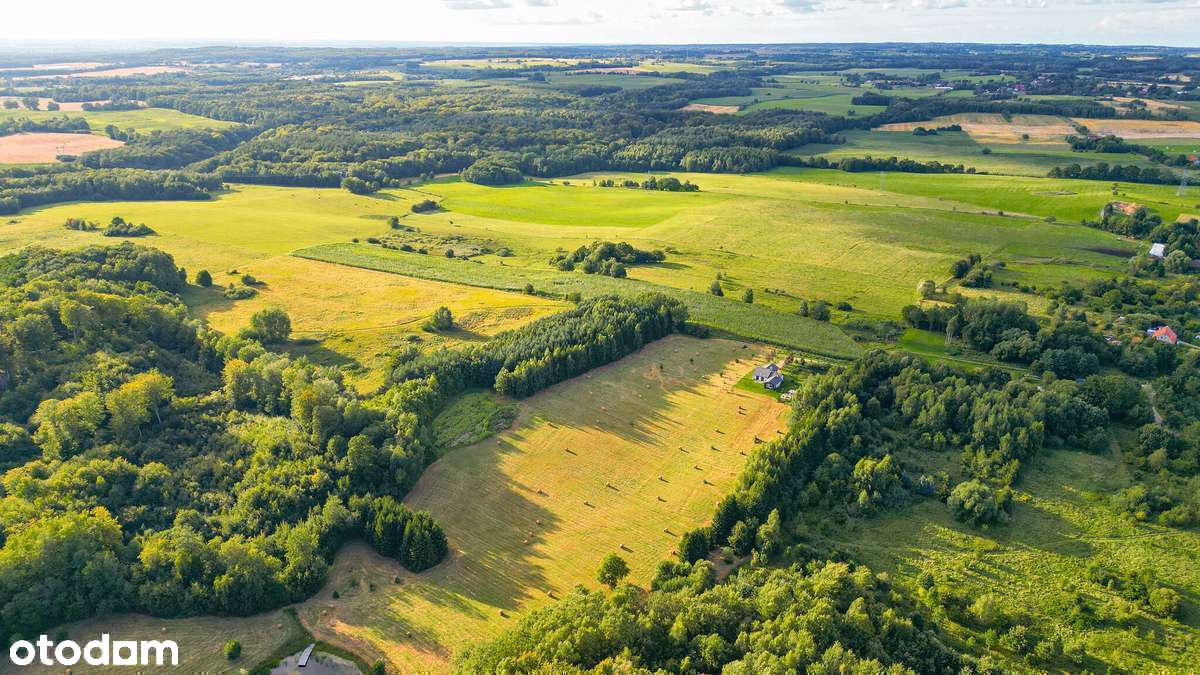 Działki budowlane Rogowo blisko Elbląga. - Pełny obrazek: 5/17