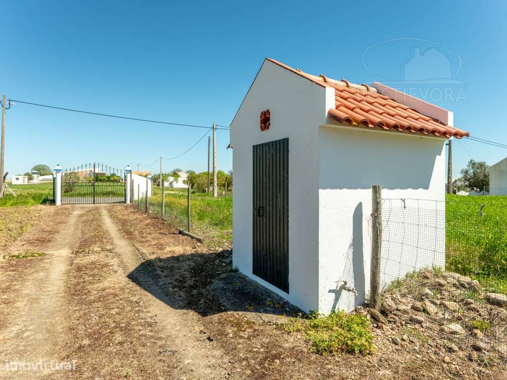 Quinta com duas moradias a 5 minutos de Montemor-o-Novo-38