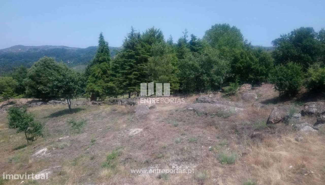 Venda Terreno com possibilidade de construção, Soalhães, Marco de C - Grande imagem: 5/29