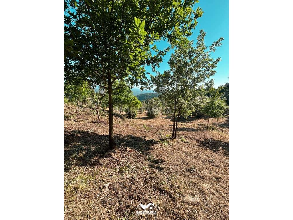 Terreno rústico de 8000 m2 com viabilidade de construção a cerca de...-18