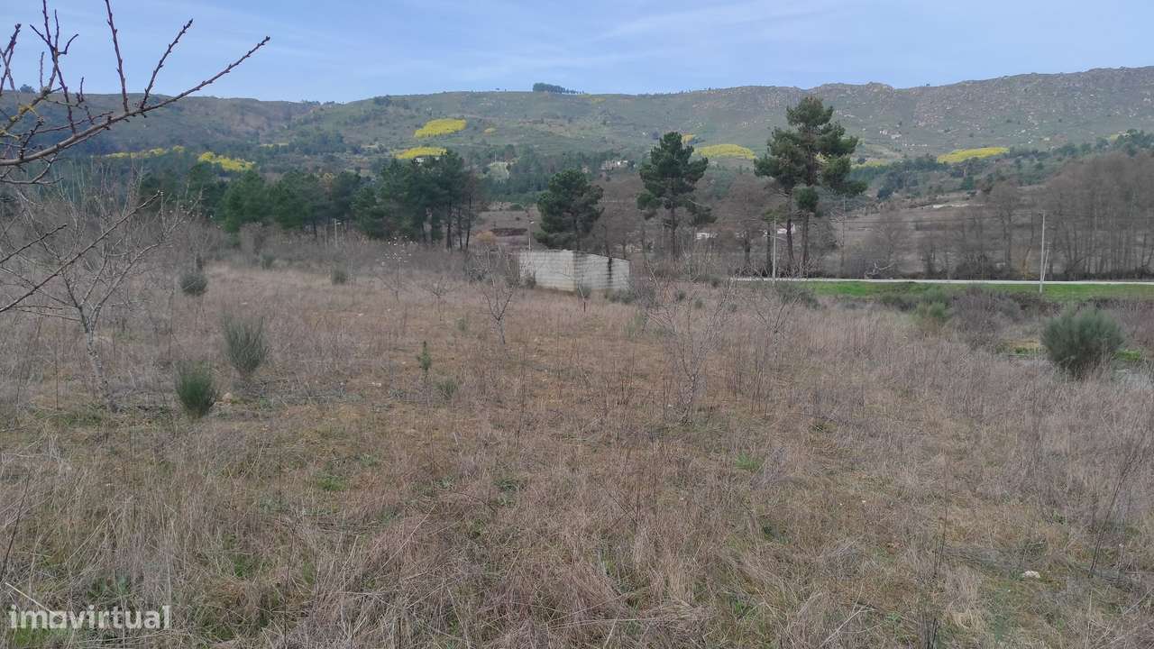 Oportunidade Exclusiva: Quinta com Alto Potencial de Valorização-11