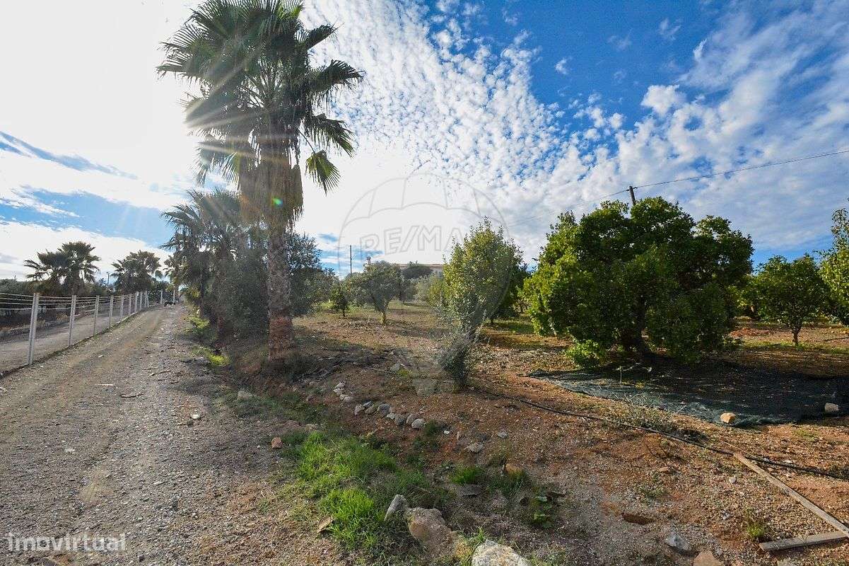 Quinta T3 para venda - Grande imagem: 4/50