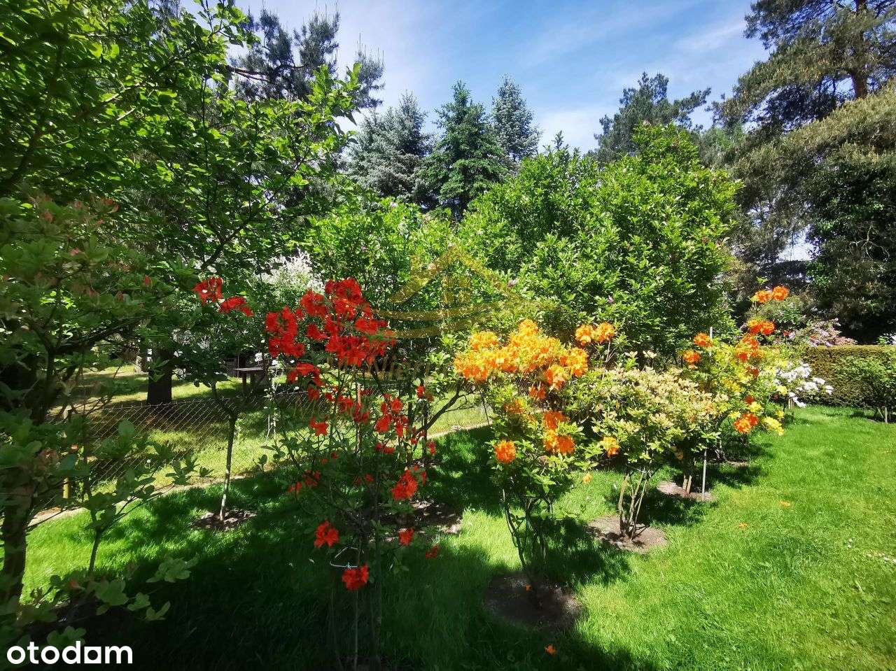 Działka własnościowa z domkiem rekreacyjnym - Pełny obrazek: 4/15