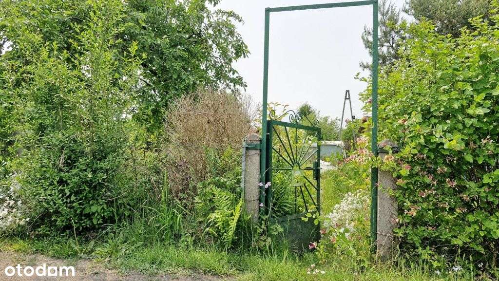 Dwie działki Rod Olszynka - Pełny obrazek: 5/16