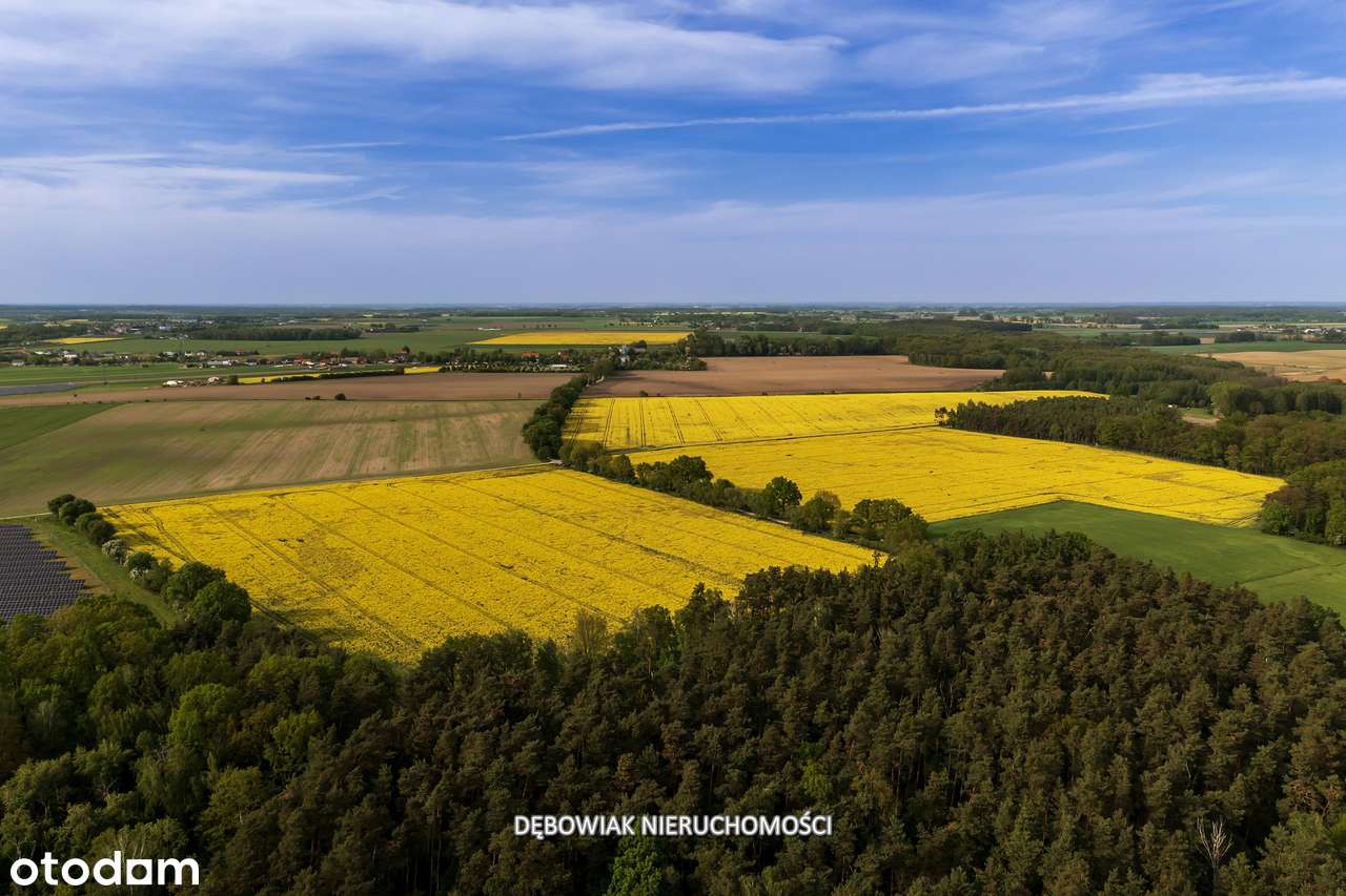 II etap sprzedaży / Atrakcyjne nowe osiedle w Gronówku / blisko Leszna-5