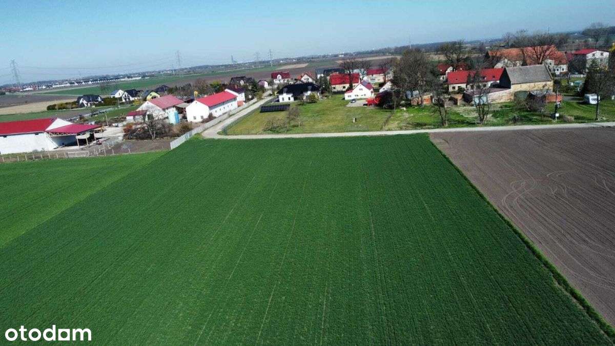 Działki budowlane Turów gm. Żórawina 11246 m2 - Pełny obrazek: 3/10