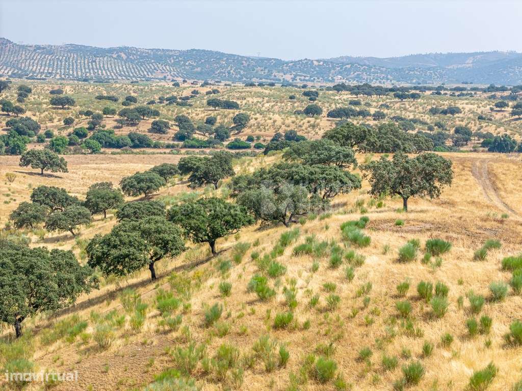 Herdade de 152 hectares em Marmelar, Alentejo - Grande imagem: 2/38