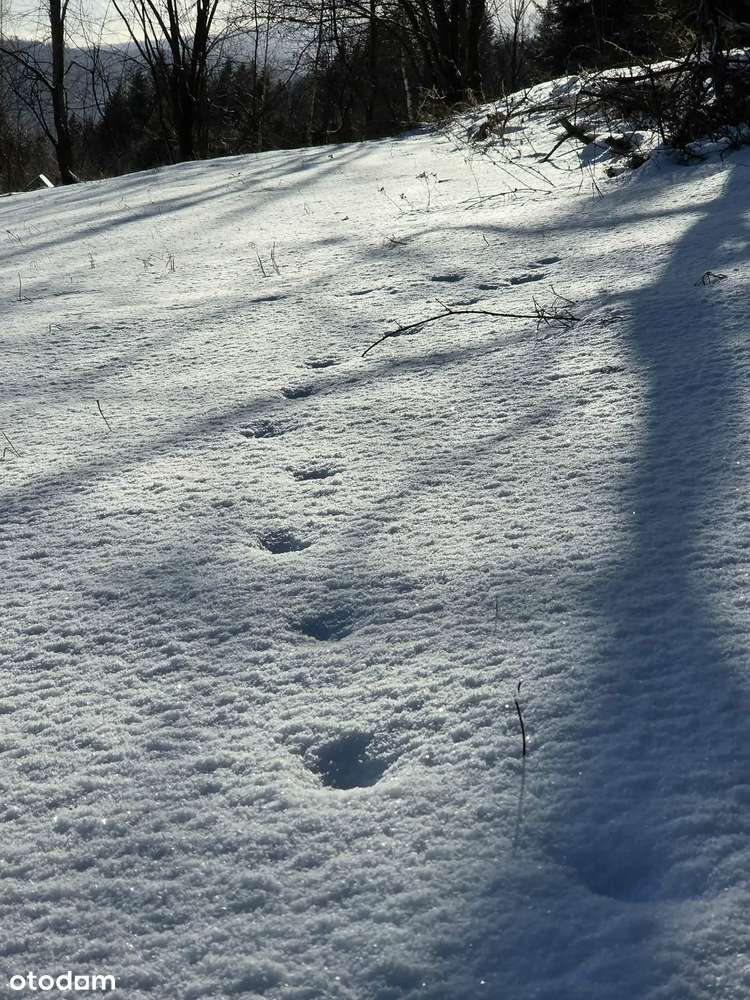 Działka (1,1ha) budowlana  z widokiem na góry z Zawoi,prąd,woda,droga-9