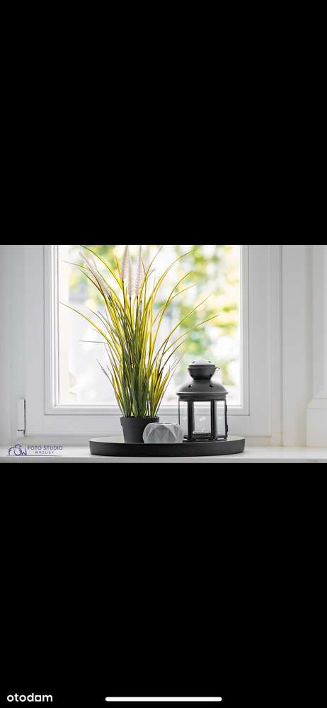 wynajmę mieszkanie - Pełny obrazek: 4/6