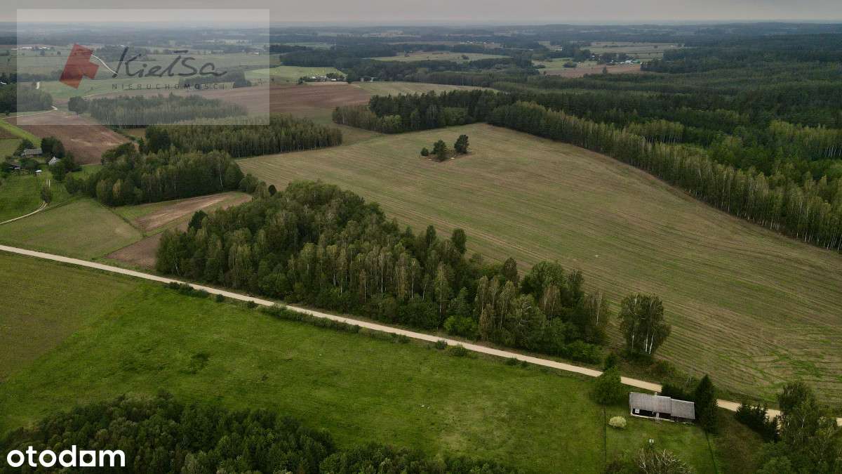 Duża działka budowlana z lasem! - Pełny obrazek: 4/10