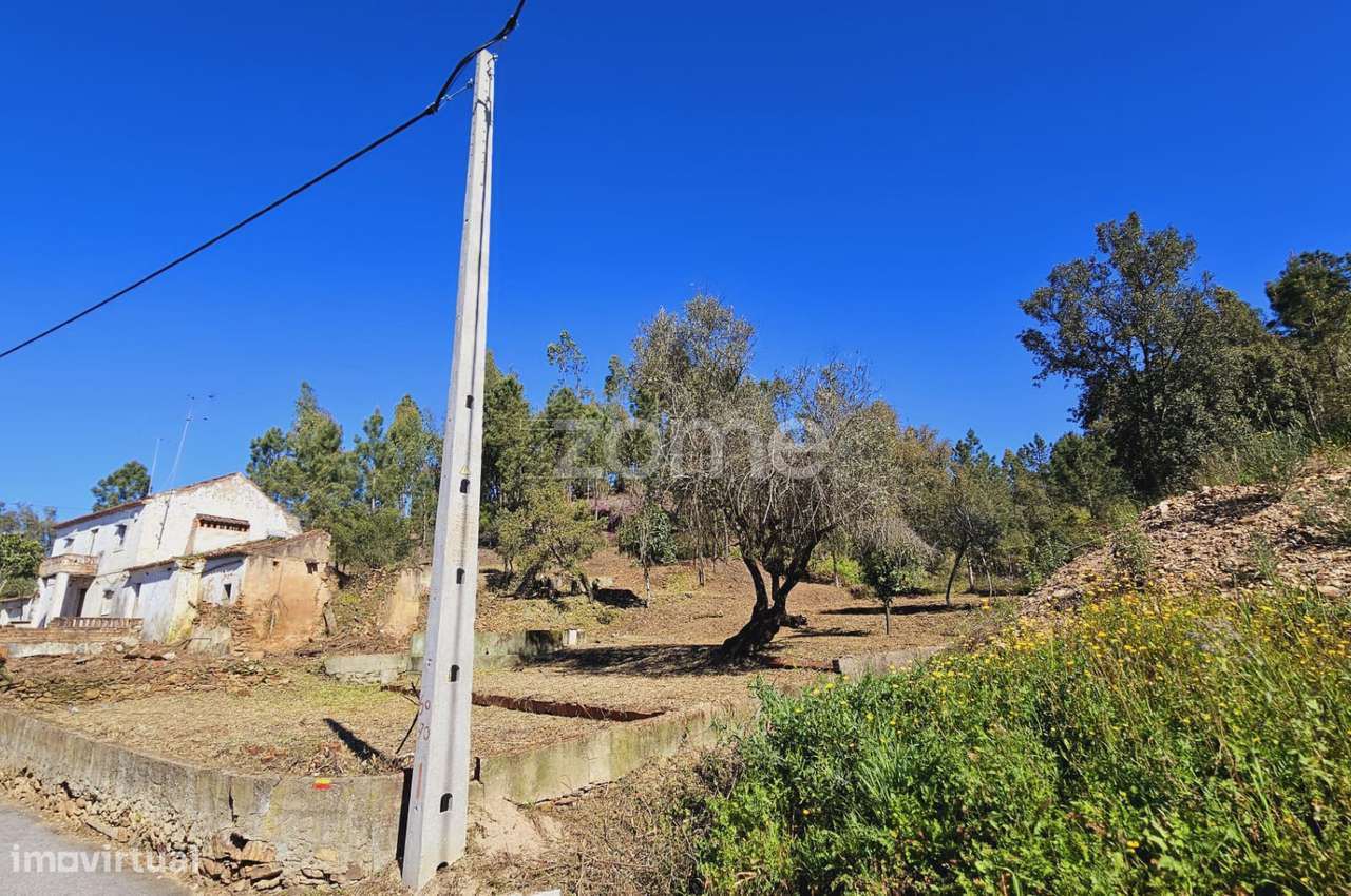 Moradia | Terreno 6530 m2 | Entrevinhas | Sardoal - Grande imagem: 4/30