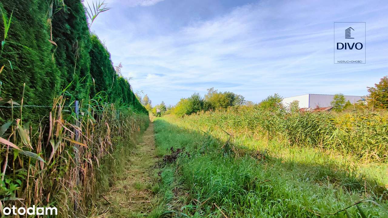 Działka budowlana Młoszowa - Pełny obrazek: 5/11