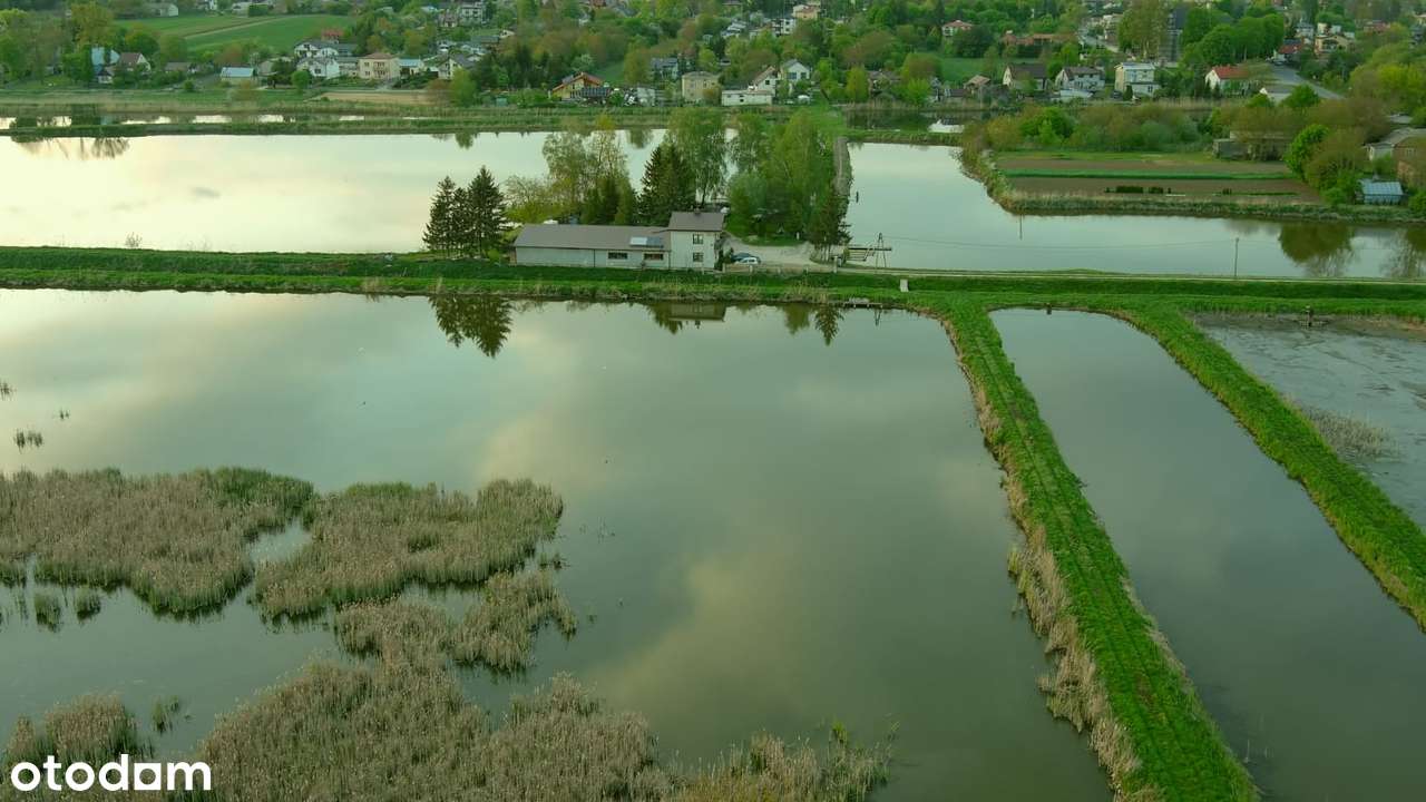 Gospodarstwo Rybackie Markuszów pow. Puławski-6