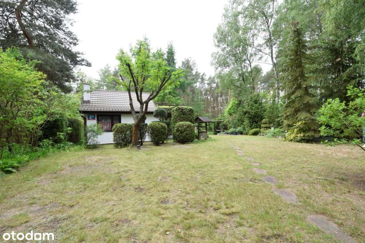 Domek letniskowy w lesie nieopodal Wkry - Pełny obrazek: 5/19