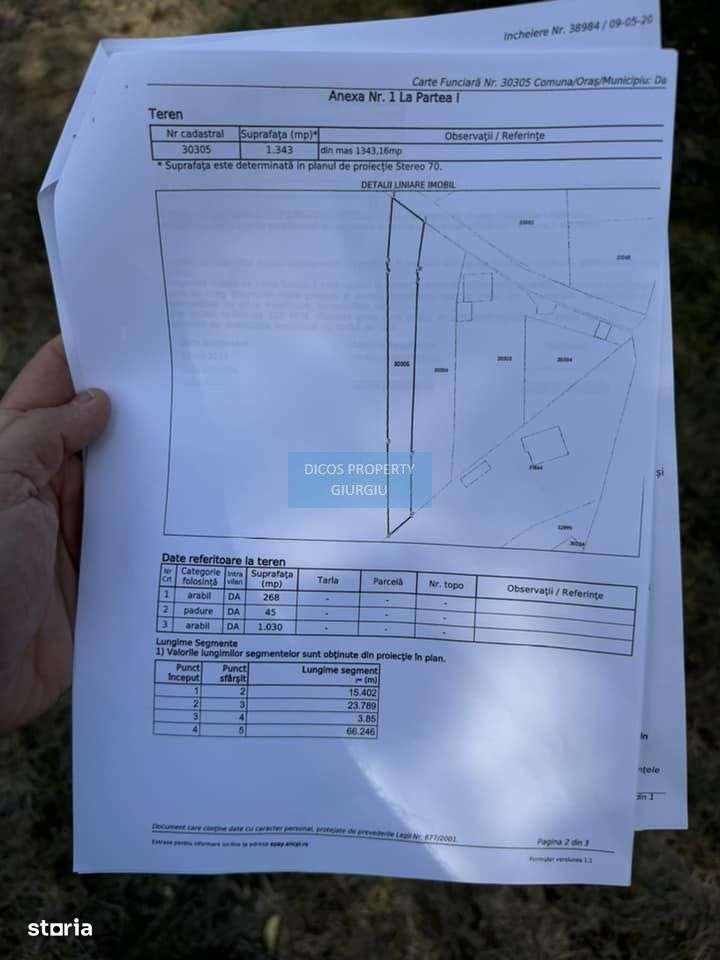 DE VANZARE Teren intravilan Comuna Daia,Jud Giurgiu - Imagine principală: 3/5