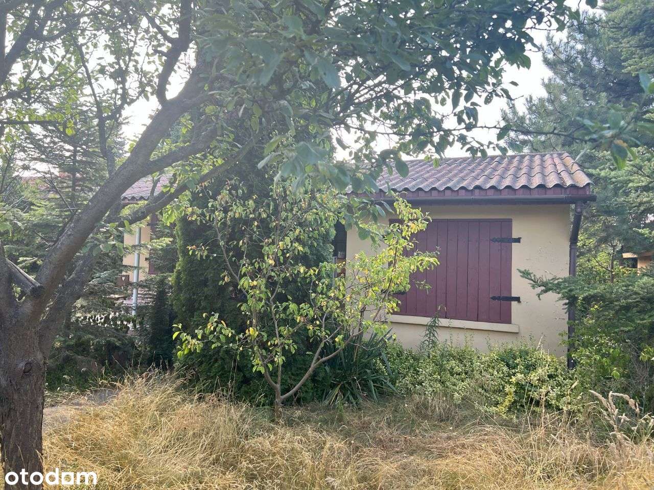 Działka rekreacyjna - Szałe Relaks 380m2-5