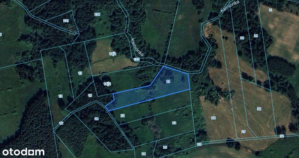 Piękne działki w Tągowiu na Kaszubach - Pełny obrazek: 5/5