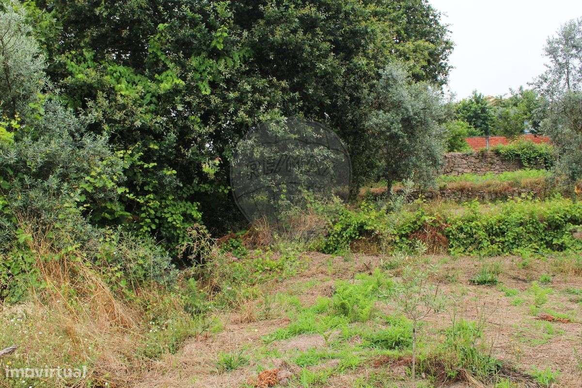 Terreno  para venda - Grande imagem: 5/9
