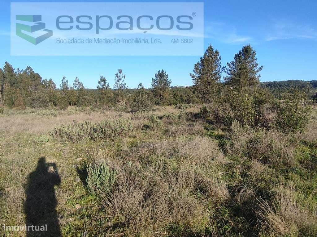 Terreno agrícola - S. Domingos - Grande imagem: 5/10