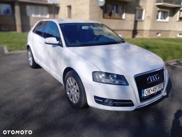 Audi A3 1.6 Ambiente - 15