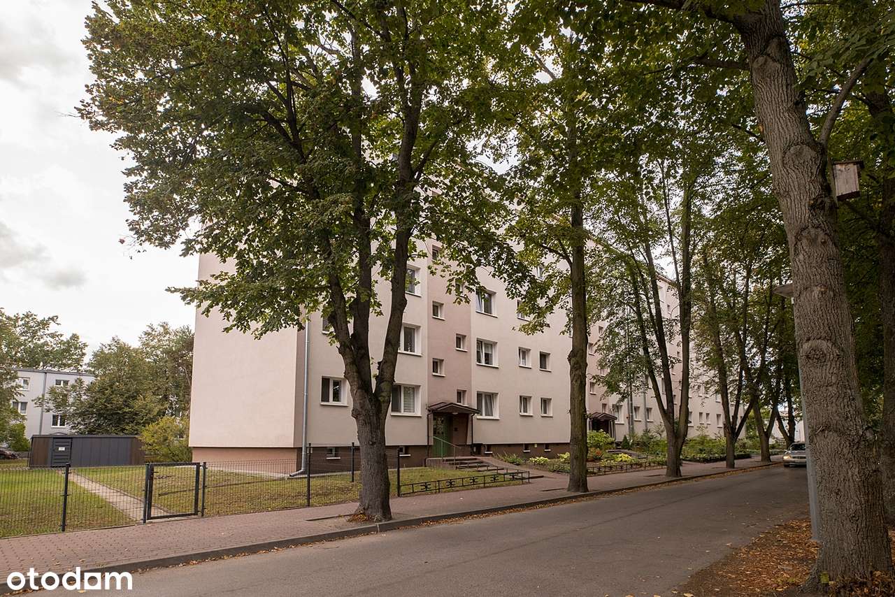 2/3 POKOJE|DO REMONTU|DO NEGOCJACJI|ZAPROPONUJ SWOJĄ CENĘ|-12