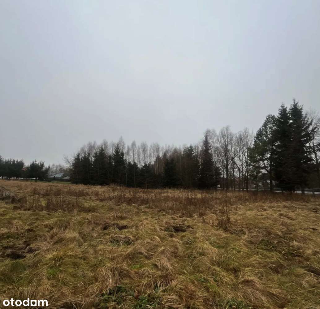 Działka budowlana 20 minut od Sky Bridge 721 - Pełny obrazek: 4/12